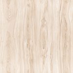 دلارام روشن